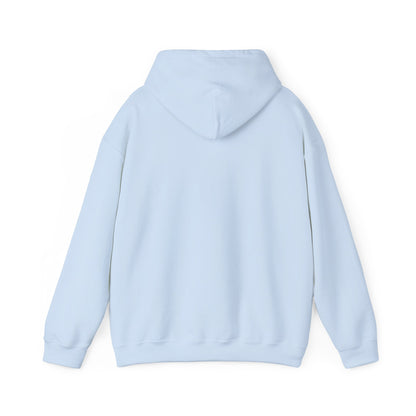 Wild States Gallery Hoodie — Retro National Parks Adventure Sweatshirt