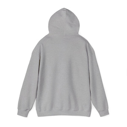Wild States Gallery Hoodie — Retro National Parks Adventure Sweatshirt