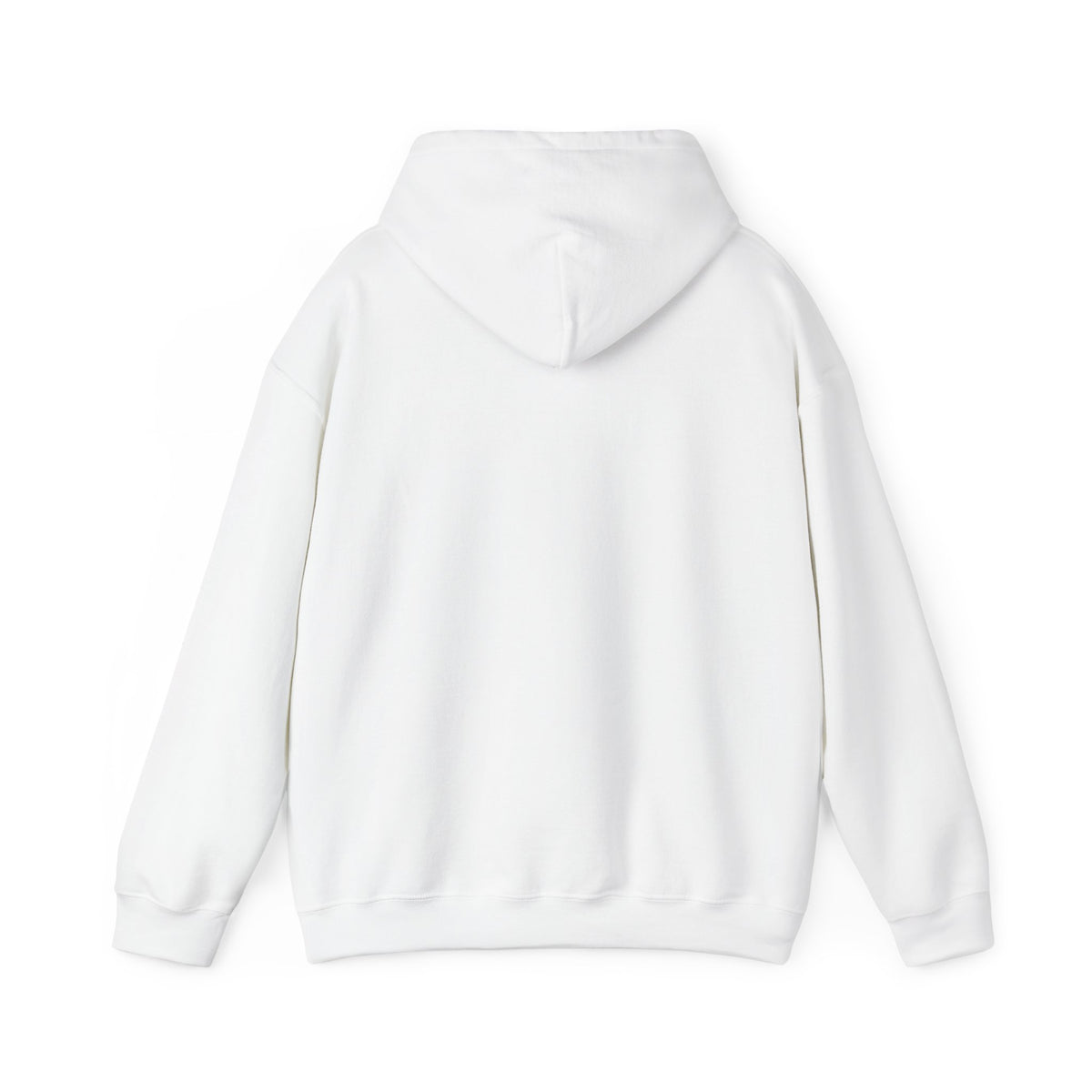 Wild States Gallery Hoodie — Retro National Parks Adventure Sweatshirt