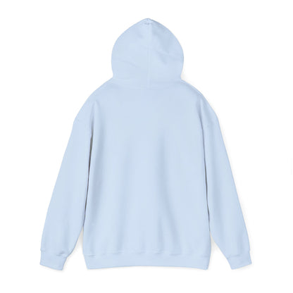 Wild States Gallery Hoodie — Retro National Parks Adventure Sweatshirt